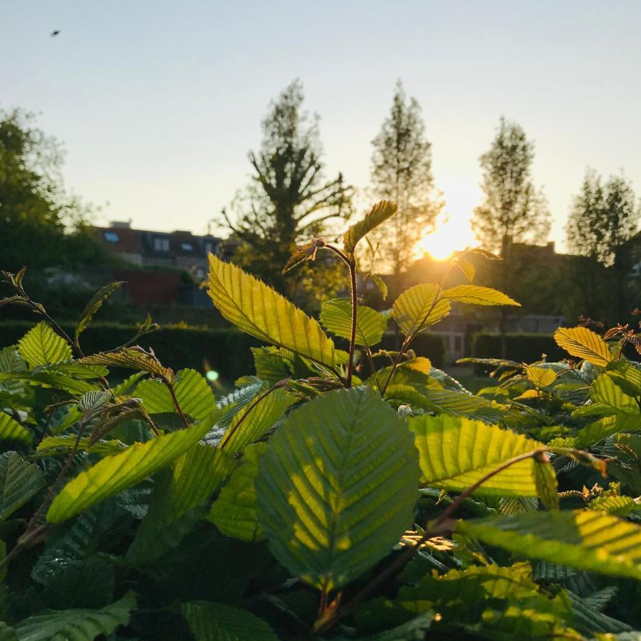 B&B 'T Kasteel & 'T Koetshuys Veurne Kültér fotó
